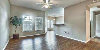 Saddle Creek Gallery 5