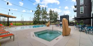 The Piper Gallery 46