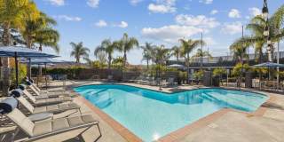 Sofi at Wood Ranch Gallery 17