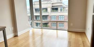 Drake Gallery 44