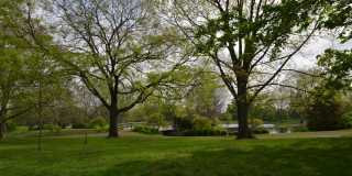 Newly Renovated 4 Bedroom Near Franklin Park- First month rent free Gallery 27