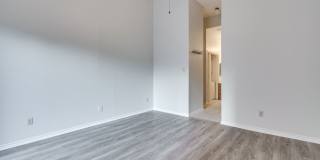 k670 - Buena Vista #306 Gallery 23