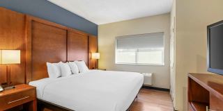 Buffalo - Airport Gallery 3