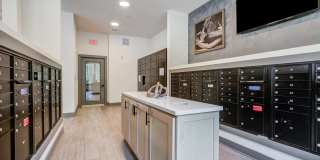 Century University City Gallery 21