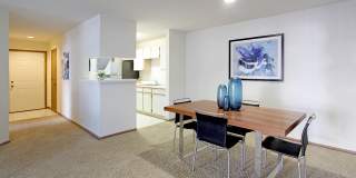 Tanglewood Gallery 15