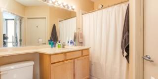 222 N. Columbus, Unit 1906, Chicago, IL 60601 Gallery 2