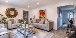 56 Linden Street Gallery 3