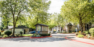 Signature Pointe Gallery 31