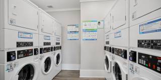 Harmony on Main Gallery 26