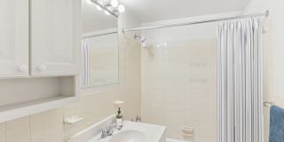 The Statesman Gallery 6