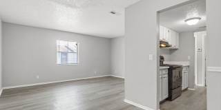 Marco Meadows Gallery 8