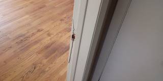 Very Nice 3 Bedroom single 1 car garage 1/2 off First months rent! Gallery 13