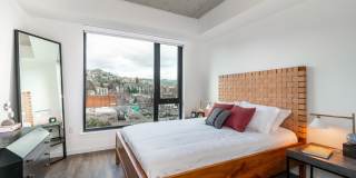 The Rodney Gallery 22