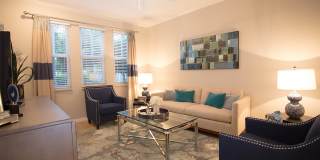 Solero at Plantation Gallery 4