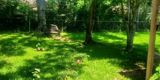 12438 Briarwood W Drive Gallery 15