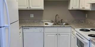 Summer Chase Gallery 1