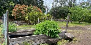 3/2 In The Hawaiian Paradise Park Sunbelt! Gallery 38