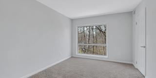 Reston Glade Gallery 11