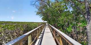 1343 PERICO POINT CIRCLE Gallery 54