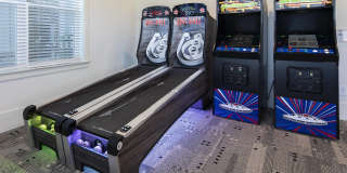 Waterleaf at Cold Springs Gallery 11