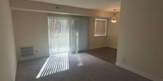 Northgate Gallery 120