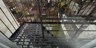 63 Madison Street Gallery 20