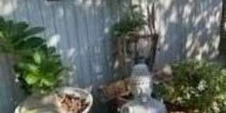270 Cottage Walk Gallery 18
