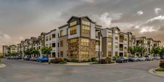 Park Lane Village Gallery 20