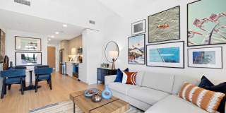 Everly Gallery 28