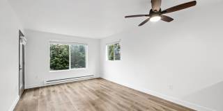 Finn Gallery 16
