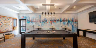 Zone Gallery 29