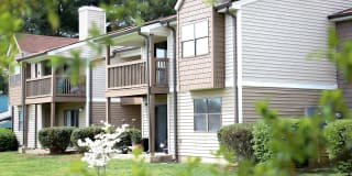 Sussex Downs Gallery 82