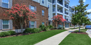 The Sage at 1240 Gallery 27