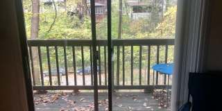 2 Bed/1 Bath overlooking Iuka Ravine Gallery 3