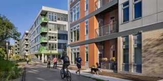 The District Gallery 26