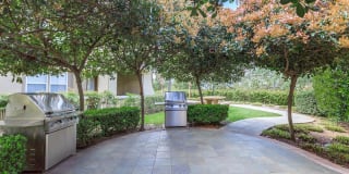 Laurel Terrace Apartment Homes Gallery 5