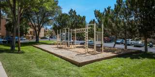 Mountain Run Gallery 20