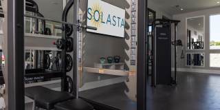 Solasta Gallery 18