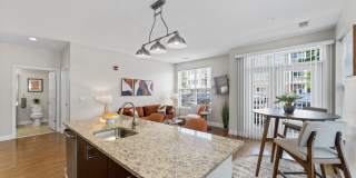 The Tannery Gallery 30