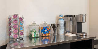 Cavalli at Iron Horse Station Gallery 22