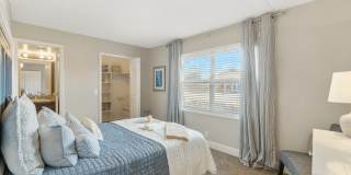 Sea Oats Sea Oats Gallery 84