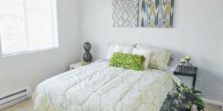 Amazing location with private yard space Gallery 11