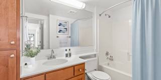 Dexter Lake Union Gallery 5