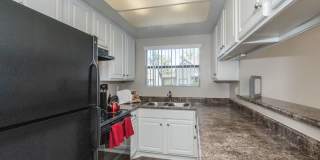 Oak Tree Court Gallery 17