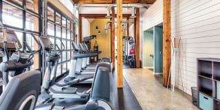 Bailey Farm Gallery 25