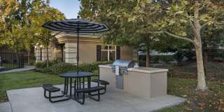 Sherwood at Iron Point Gallery 16