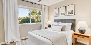 Lexington Palms at the Forum Gallery 13