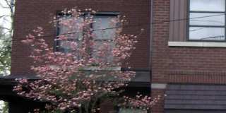 482 Carey Avenue Gallery 1