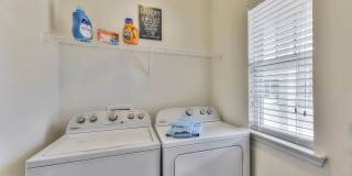 LEO at the Sanctuary Gallery 7