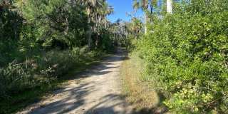 3810 Saxon Dr Gallery 20